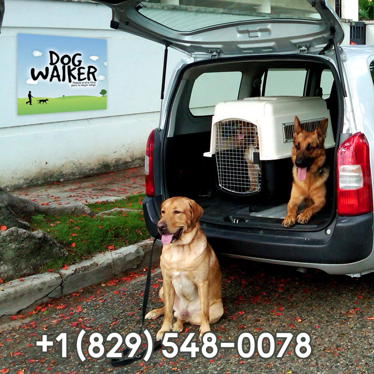 SERVICIO TAXI CAN (D.N.)