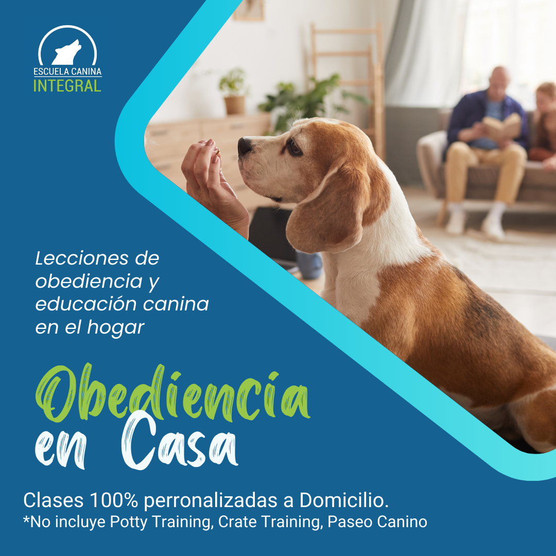 Obediencia y Educación EN CASA