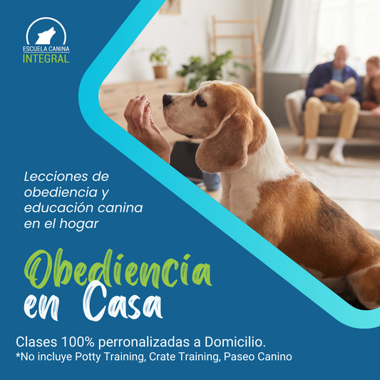 Obediencia y Educación EN CASA