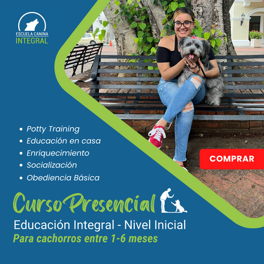 Curso PRESENCIAL Educación Integral INICIAL