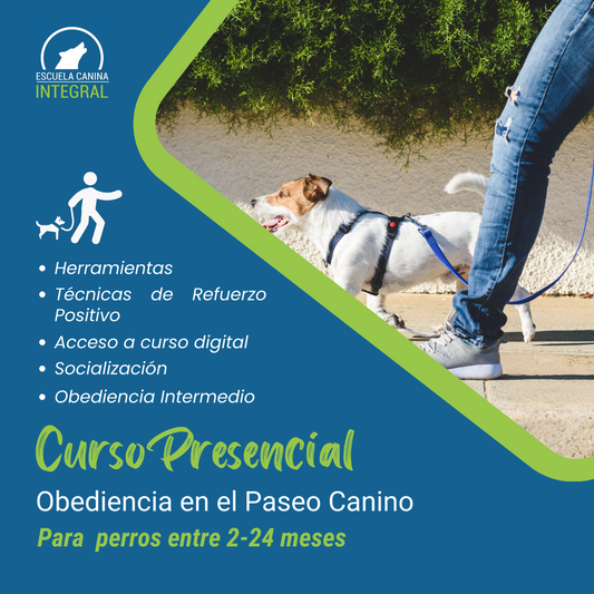 Curso PRESENCIAL "Obediencia durante el Paseo Canino"