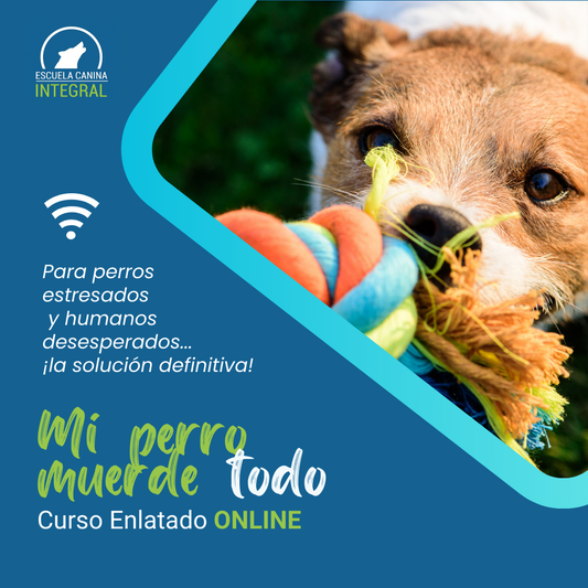 Curso ENLATADO ¡Mi perro muerde todo!