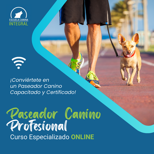 Paseo Canino Profesional (Curso Especializado)