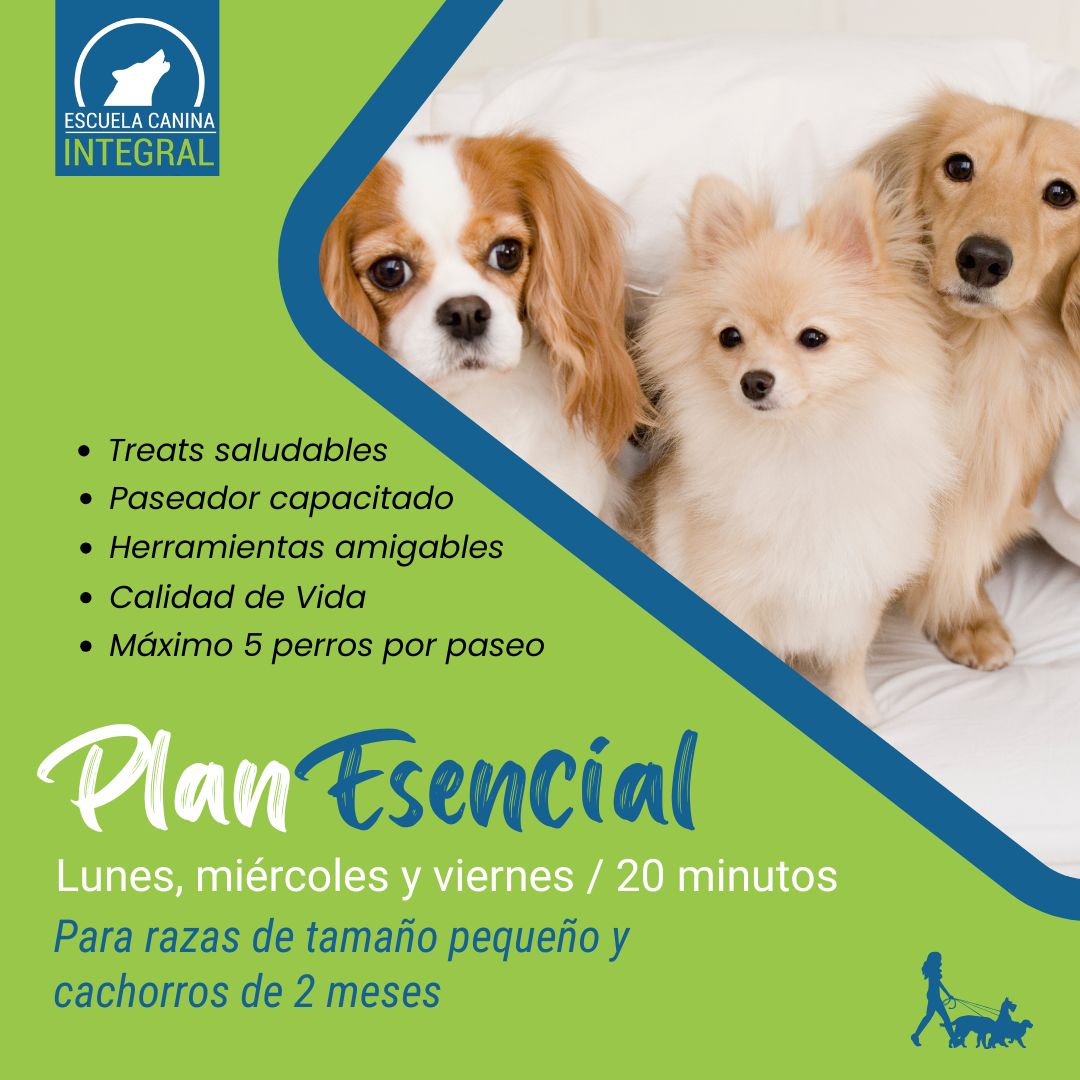 Plan Esencial